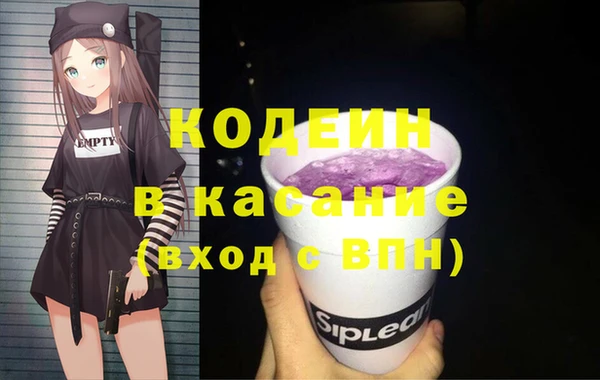 шишки Михайловск