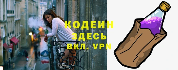 шишки Михайловск
