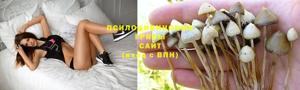 хмурый Михайлов
