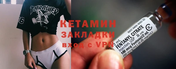 шишки Михайловск