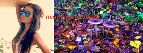 кокаин Медвежьегорск