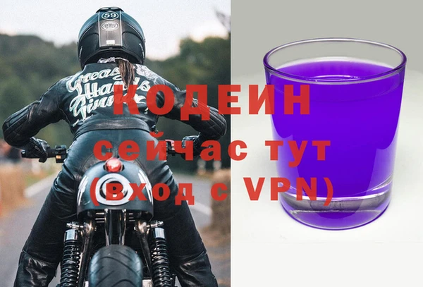 шишки Михайловск