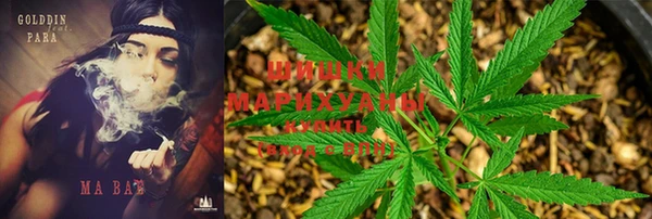 соль ск Мегион